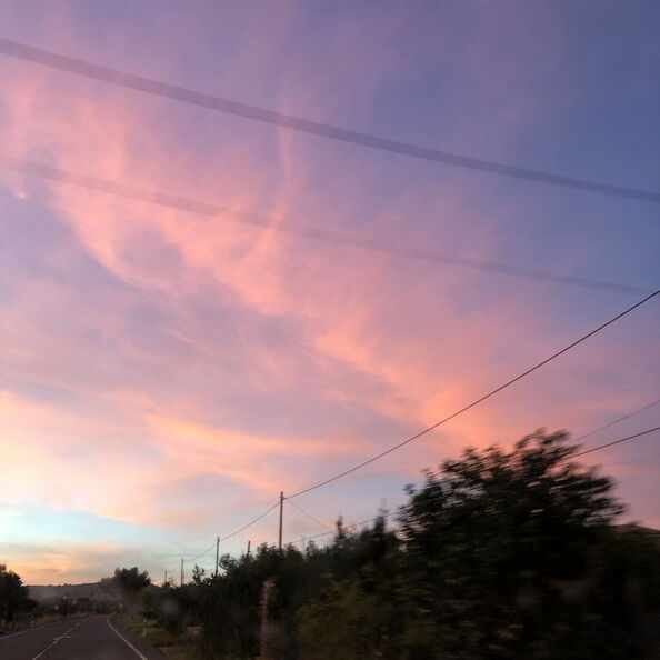 mal_2018_0178.jpg