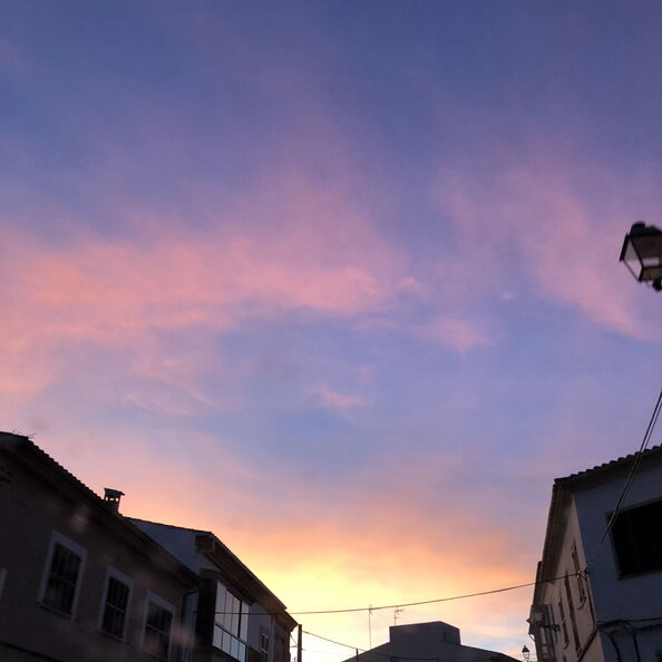 mal_2018_0180.jpg