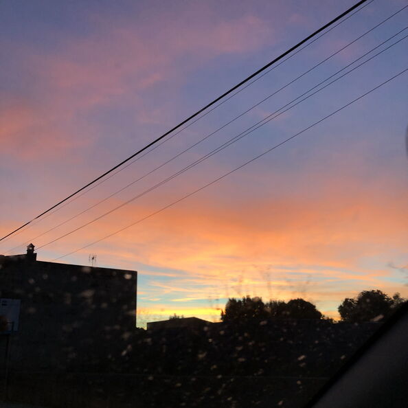 mal_2018_0181.jpg