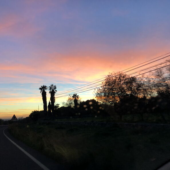 mal_2018_0183.jpg
