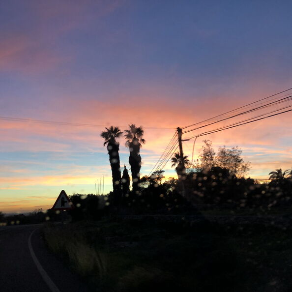 mal_2018_0184.jpg