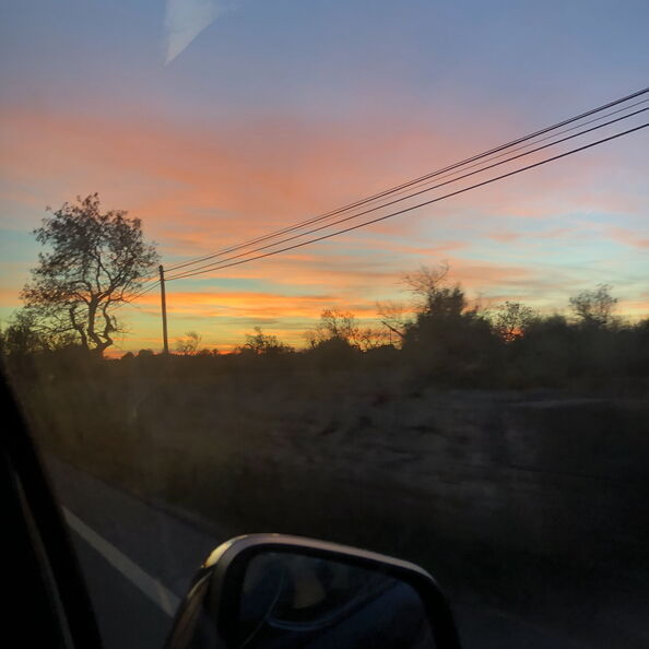 mal_2018_0187.jpg