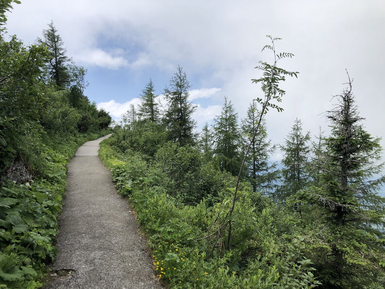 bgd_2019a_0187.jpg