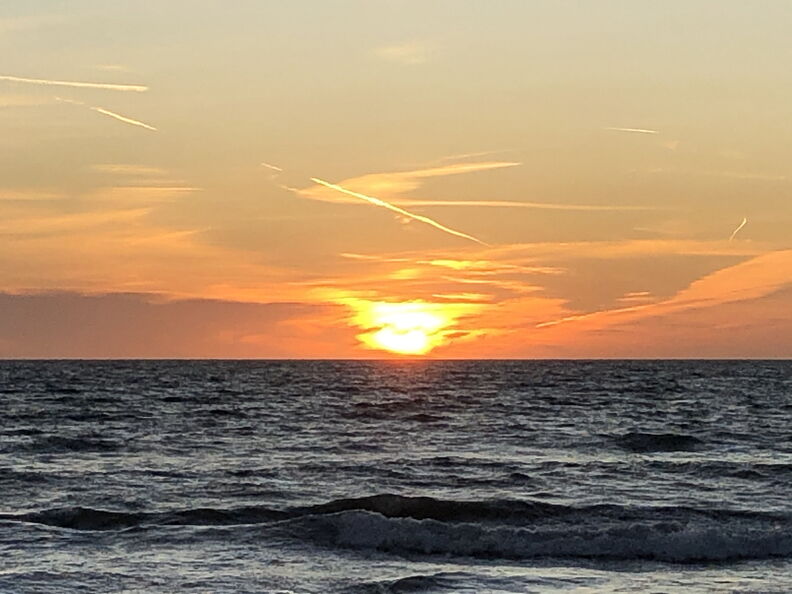 mal_2019_0108.jpg