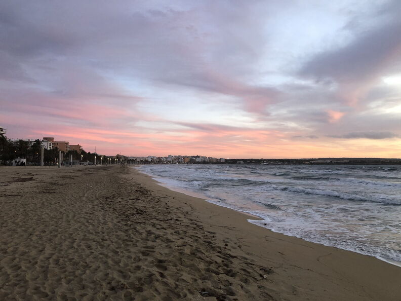 mal_2019_0217.jpg