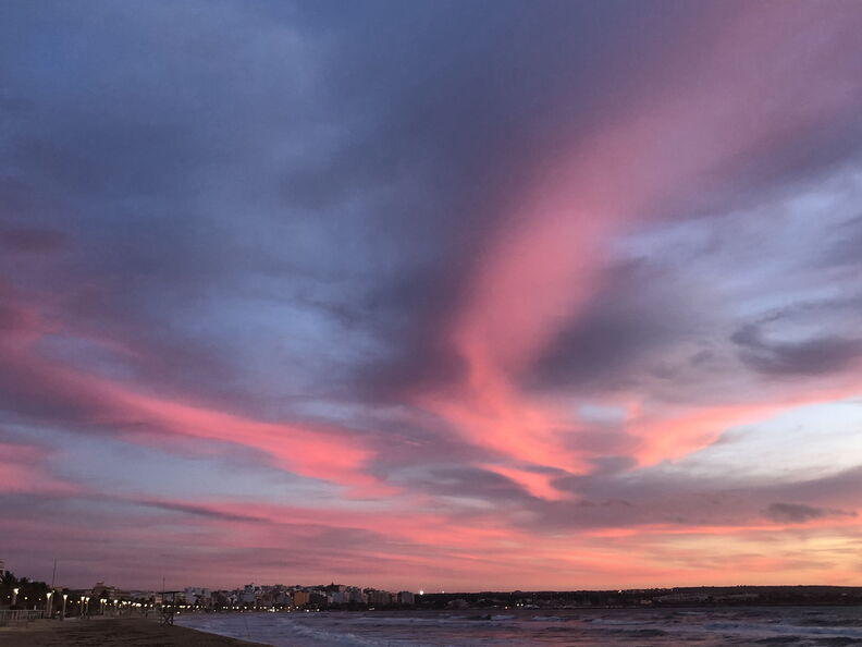mal_2019_0223.jpg